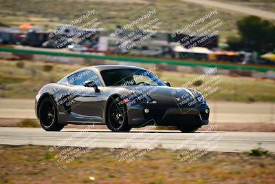 media/Feb-17-2024-Extreme Speed (Sat) [[f2f02d613c]]/Gold Group/Session 1 (Turn 2)/